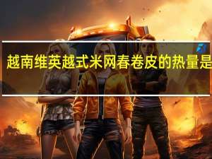 越南维英 越式米网春卷皮的热量是多少