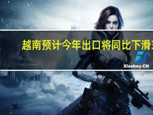 越南预计今年出口将同比下滑3.5%