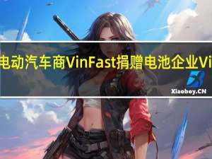越南首富范日旺将向电动汽车商VinFast捐赠电池企业VinES股份实现两家公司合并