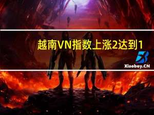 越南VN指数上涨2%达到1,131.93点