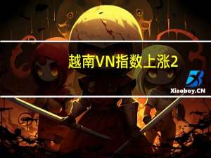 越南VN指数上涨2%