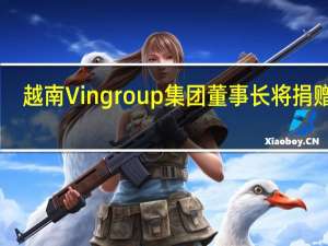 越南Vingroup集团董事长将捐赠99.8%的电池部门股份给VinFast(VFS.O)