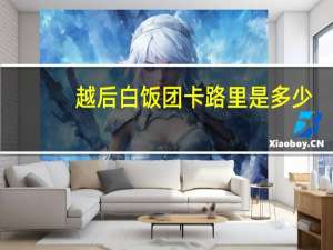 越后 白饭团卡路里是多少