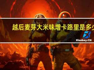 越后 麦芽大米味增卡路里是多少