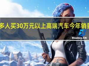 越来越多人买30万元以上高端汽车 今年销量暴涨30% 专家：收入分化明显
