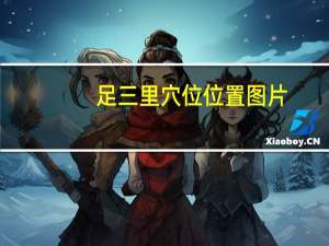 足三里穴位位置图片（足三里穴位位置图）