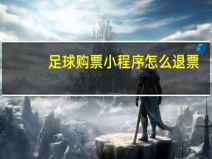 足球购票小程序怎么退票