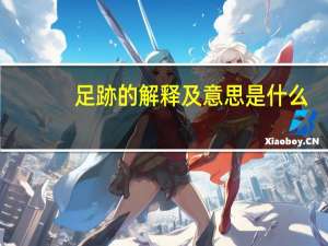 足跡的解释及意思是什么