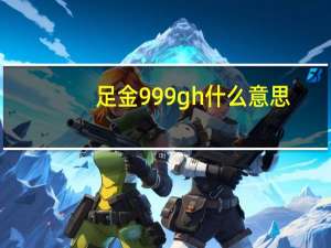 足金999gh什么意思