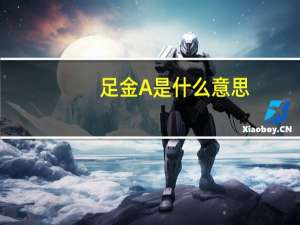足金A是什么意思