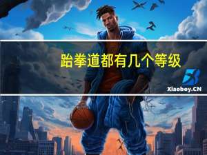 跆拳道都有几个等级
