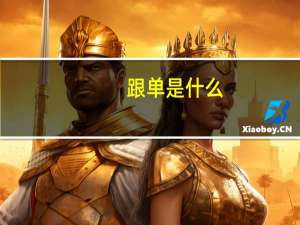 跟单是什么