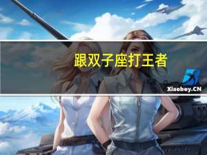 跟双子座打王者
