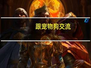 跟宠物狗交流