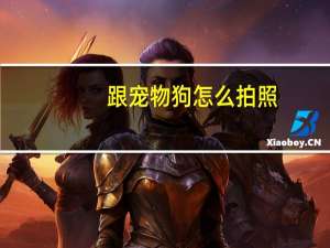 跟宠物狗怎么拍照