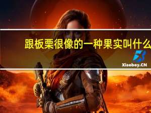 跟板栗很像的一种果实叫什么