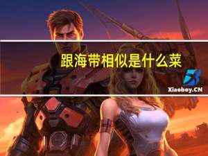 跟海带相似是什么菜