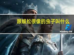 跟蜈蚣很像的虫子叫什么
