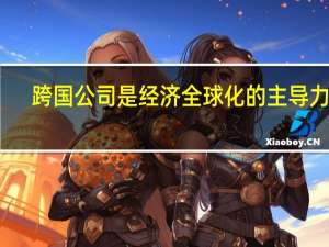 跨国公司是经济全球化的主导力量（跨国公司主导全球经济的体现）