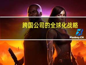 跨国公司的全球化战略