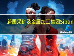 跨国采矿及金属加工集团Sibanye-Stillwater：2023年钯金价格的下跌超出预期下跌速度也比预期更快