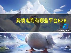 跨境电商有哪些平台B2B