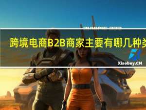 跨境电商B2B商家主要有哪几种类型