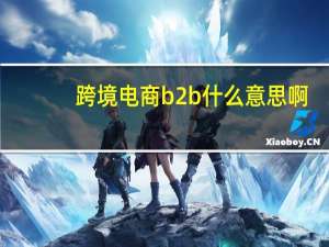 跨境电商b2b什么意思啊