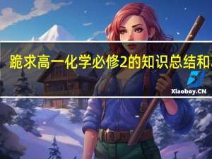 跪求高一化学必修2的知识总结和习题