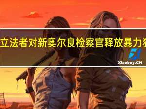 路易斯安那州立法者对新奥尔良检察官释放暴力犯罪嫌疑人表示质疑