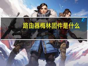 路由器梅林固件是什么