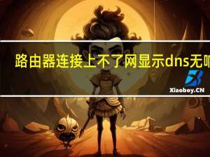 路由器连接上不了网显示dns无响应（路由器连接上不了网）