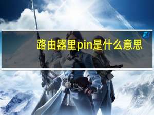路由器里pin是什么意思