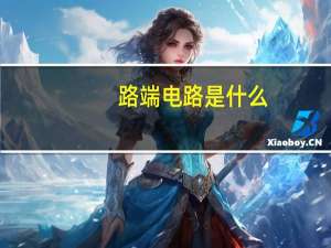 路端电路是什么