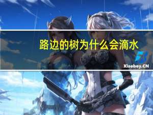 路边的树为什么会滴水