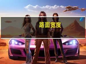 路面宽度