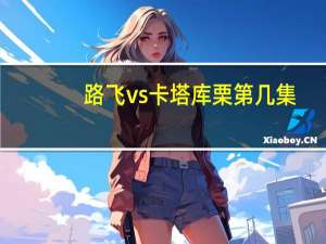 路飞vs卡塔库栗第几集