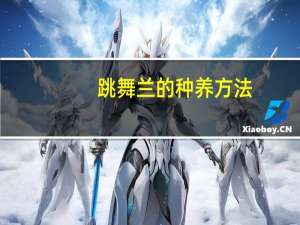 跳舞兰的种养方法