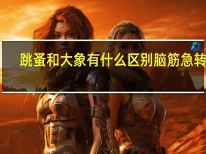 跳蚤和大象有什么区别脑筋急转弯