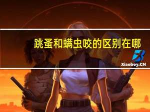 跳蚤和螨虫咬的区别在哪（跳蚤和螨虫咬的区别）