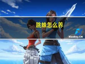 跳蛛怎么养