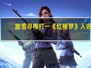 踏雪寻梅打一《红楼梦》人名（踏雪寻梅）
