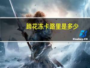 蹄花冻卡路里是多少