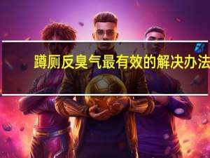 蹲厕反臭气最有效的解决办法