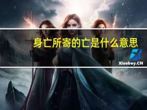 身亡所寄的亡是什么意思