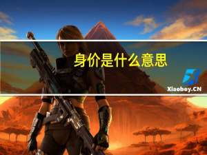 身价是什么意思