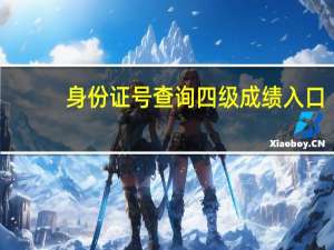 身份证号查询四级成绩入口（身份证号查询）