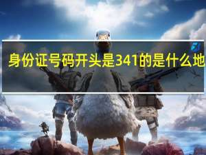 身份证号码开头是341的是什么地方啊