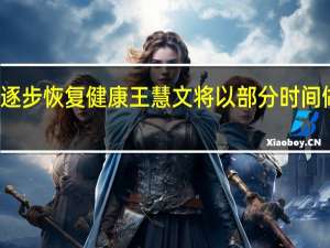 身体逐步恢复健康 王慧文将以部分时间做美团顾问
