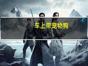 车上带宠物狗